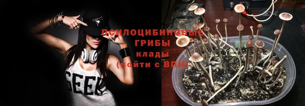 a pvp Кулебаки