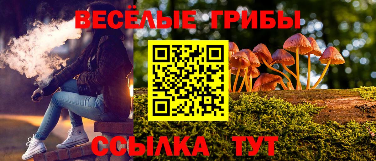 Черемхово  Галлюциногенные грибы мицелий  Вход с VPN 